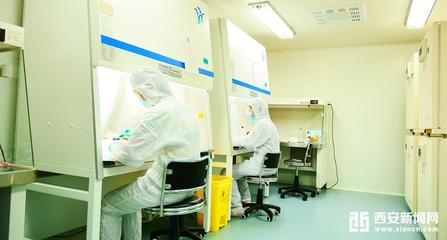 秦汉新城大健康产业加速布局 大型GMP生物实验室即将投用，助推医学研发新突破