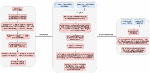 多组学在疾病发生发展过程中的研究思路与应用前沿