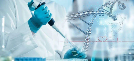助推医药创新 实验动物科技信息数据管理与创新在医学研究中的应用与展望