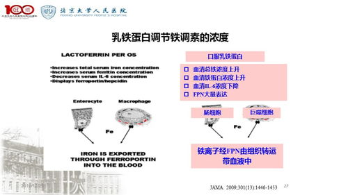 特殊医学用途配方食品在母婴领域的应用与医学研究进展